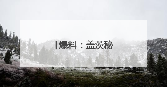 爆料：盖茨秘密去白宫游说