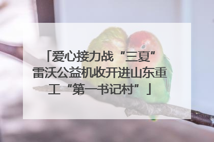 爱心接力战“三夏” 雷沃公益机收开进山东重工“第一书记村”
