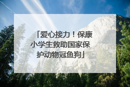 爱心接力！保康小学生救助国家保护动物冠鱼狗