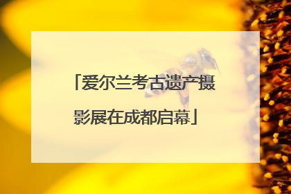 爱尔兰考古遗产摄影展在成都启幕