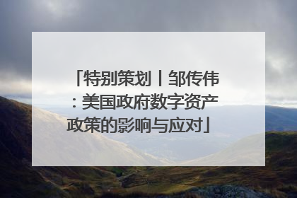 特别策划丨邹传伟：美国政府数字资产政策的影响与应对