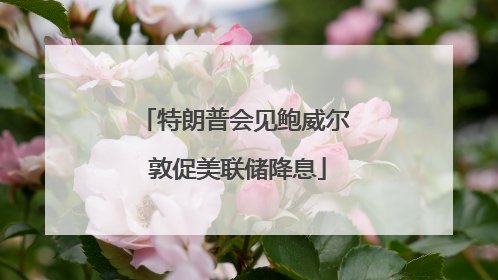 特朗普会见鲍威尔 敦促美联储降息