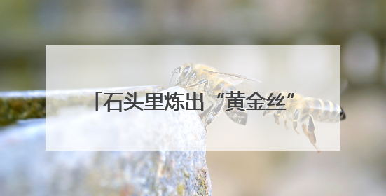 石头里炼出“黄金丝”！汝阳县玄武岩纤维全电熔智能生产线投产