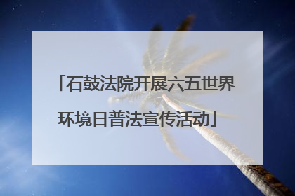 石鼓法院开展六五世界环境日普法宣传活动