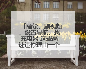 睡觉、刷视频、设置导航、找充电器 这些高速违停理由一个比一个离谱