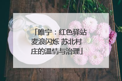 睢宁：红色驿站麦浪闪烁 苏北村庄的温情与治理