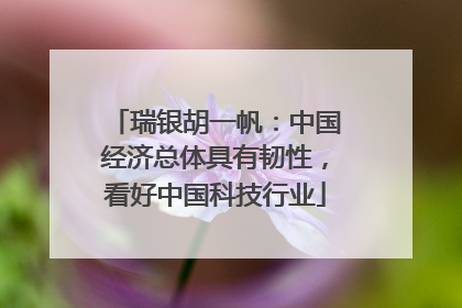 瑞银胡一帆：中国经济总体具有韧性，看好中国科技行业