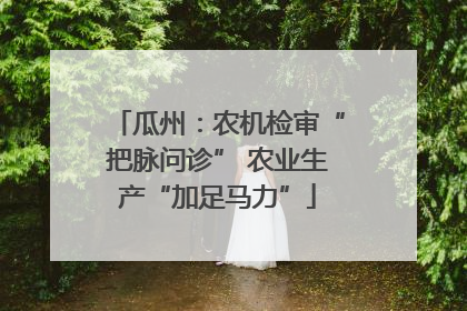 瓜州：农机检审“把脉问诊” 农业生产“加足马力”