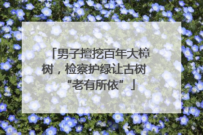 男子擅挖百年大樟树，检察护绿让古树“老有所依”