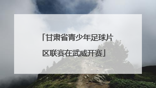 甘肃省青少年足球片区联赛在武威开赛