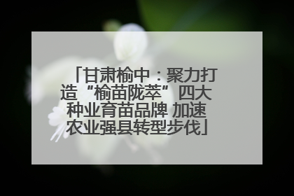 甘肃榆中：聚力打造“榆苗陇萃”四大种业育苗品牌 加速农业强县转型步伐