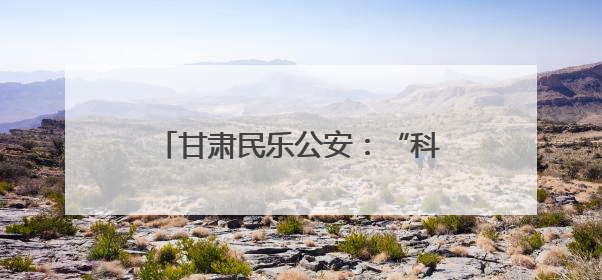 甘肃民乐公安：“科技+脚板”全时空提升社会面巡防质效