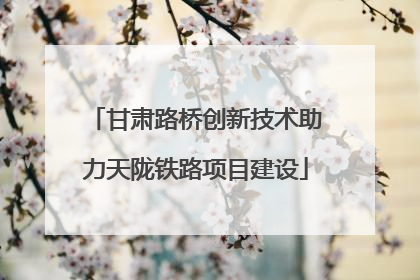 甘肃路桥创新技术助力天陇铁路项目建设
