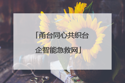 甬台同心共织台企智能急救网