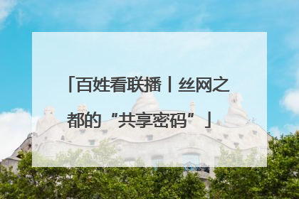 百姓看联播丨丝网之都的“共享密码”