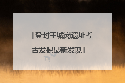 登封王城岗遗址考古发掘最新发现
