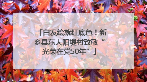 白发绘就红底色！新乡县东大阳堤村致敬“光荣在党50年”