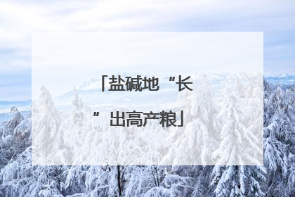 盐碱地“长”出高产粮