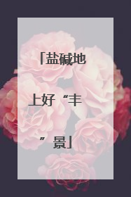 盐碱地上好“丰”景