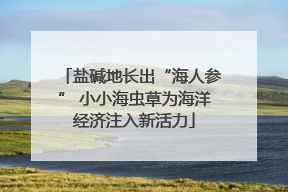 盐碱地长出“海人参” 小小海虫草为海洋经济注入新活力