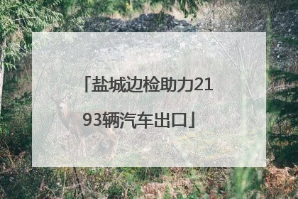 盐城边检助力2193辆汽车出口