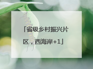 省级乡村振兴片区，西海岸+1