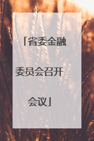 省委金融委员会召开会议