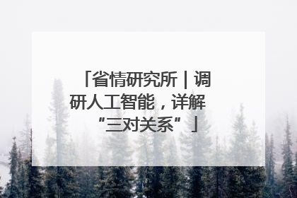 省情研究所｜调研人工智能，详解“三对关系”