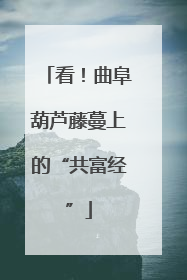 看！曲阜葫芦藤蔓上的“共富经”
