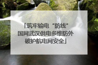 筑牢输电“防线” 国网武汉供电多维防外破护航电网安全