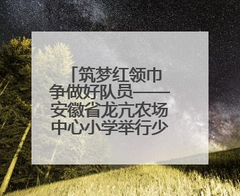 筑梦红领巾 争做好队员——安徽省龙亢农场中心小学举行少先队新队员入队仪式