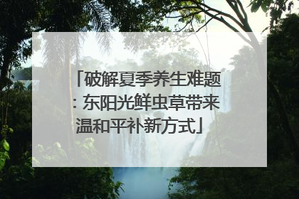 破解夏季养生难题：东阳光鲜虫草带来温和平补新方式