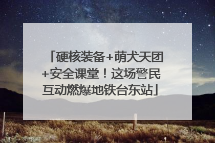 硬核装备+萌犬天团+安全课堂！这场警民互动燃爆地铁台东站