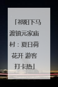 祁阳下马渡镇元家庙村：夏日荷花开 游客打卡热