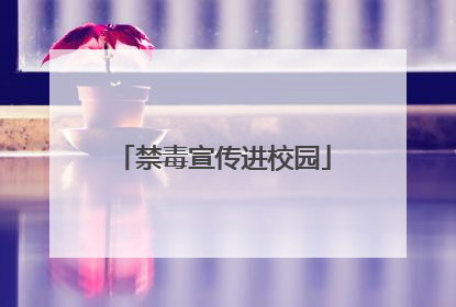 禁毒宣传进校园