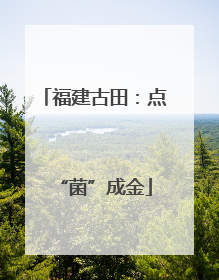 福建古田：点“菌”成金