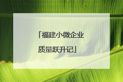 福建小微企业质量跃升记
