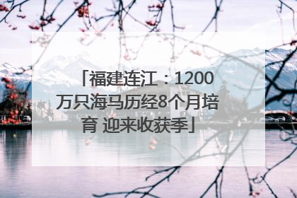 福建连江：1200万只海马历经8个月培育 迎来收获季