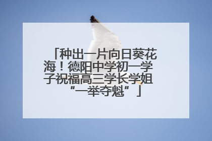 种出一片向日葵花海！德阳中学初一学子祝福高三学长学姐“一举夺魁”