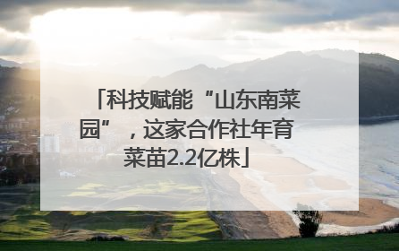 科技赋能“山东南菜园”，这家合作社年育菜苗2.2亿株