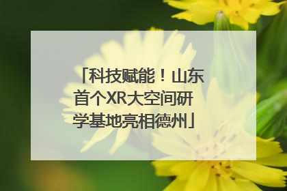 科技赋能！山东首个XR大空间研学基地亮相德州