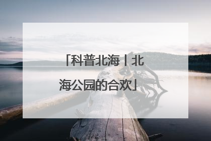 科普北海丨北海公园的合欢