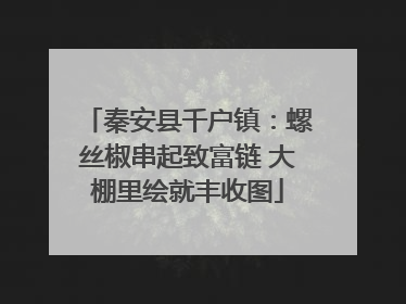 秦安县千户镇：螺丝椒串起致富链 大棚里绘就丰收图