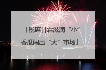 税惠甘霖滋润“小”香瓜闯出“大”市场