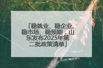稳就业、稳企业、稳市场、稳预期，山东发布2025年第二批政策清单