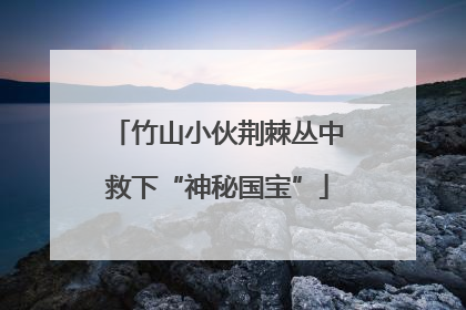 竹山小伙荆棘丛中救下“神秘国宝”