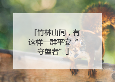 竹林山间，有这样一群平安“守望者”