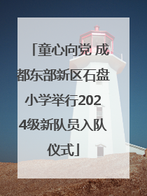 童心向党 成都东部新区石盘小学举行2024级新队员入队仪式