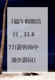 端午假期首日，31.67万游客雨中漫步游园