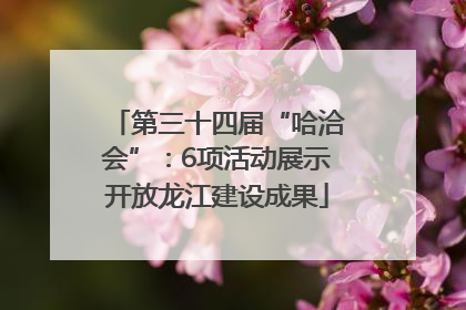 第三十四届“哈洽会”：6项活动展示开放龙江建设成果